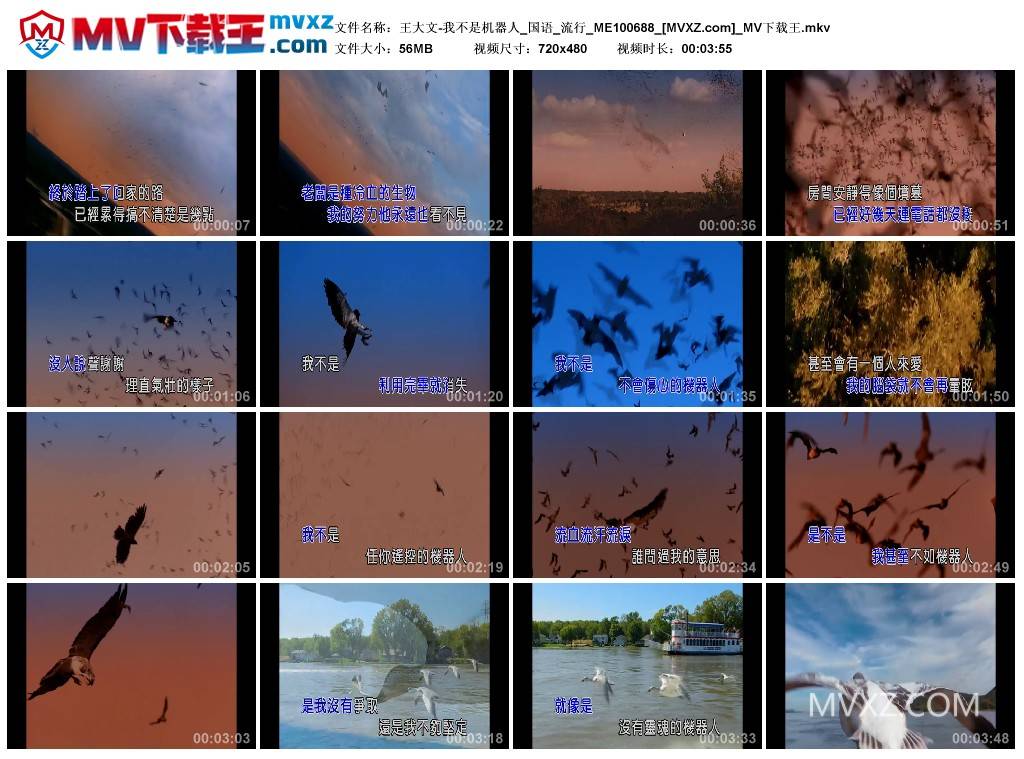 王大文-我不是机器人_国语_流行_ME100688